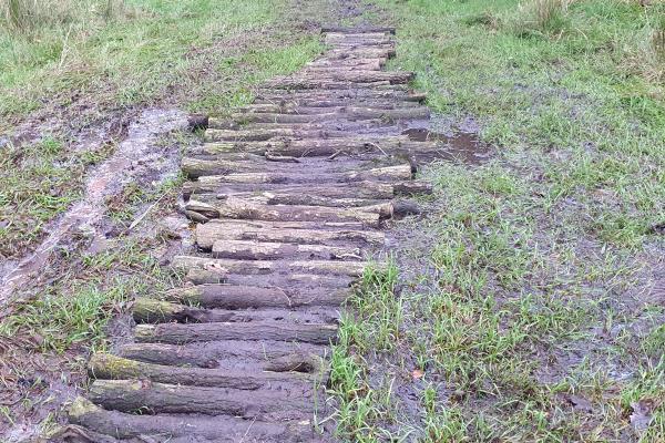 Aanleg ouderwets knuppelpad