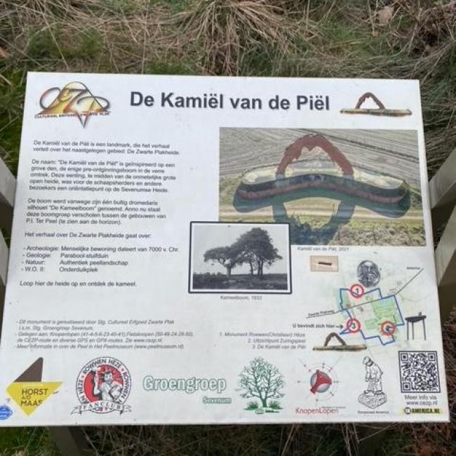 Kamiël van de Piël