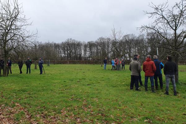 Cursus oudere fruitbomen snoeien