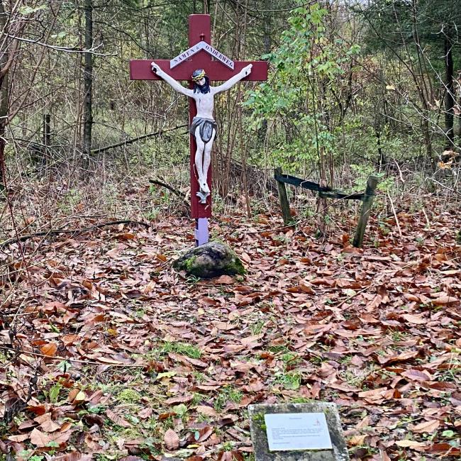 Veldkruis in de bossen bij Hof van Kronenberg